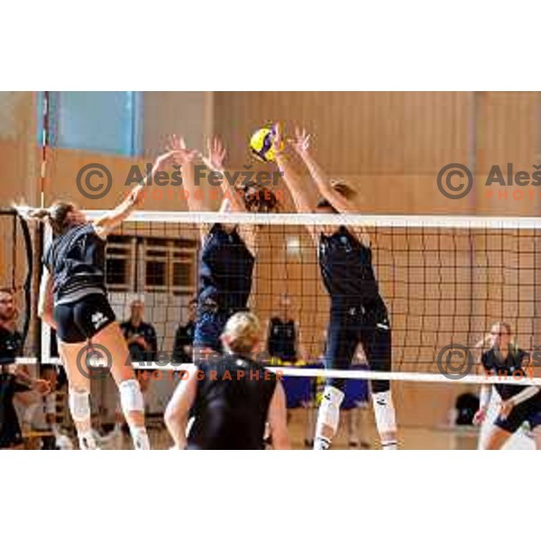 of Slovenia Women\'s National Volleyball team during preparation match between Slovenia and Belgium in Ljubljana, Slovenia on August 16, 2025