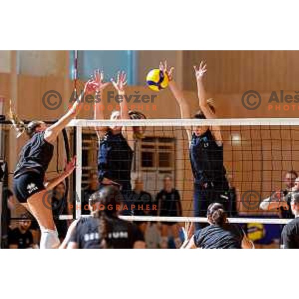 of Slovenia Women\'s National Volleyball team during preparation match between Slovenia and Belgium in Ljubljana, Slovenia on August 16, 2025