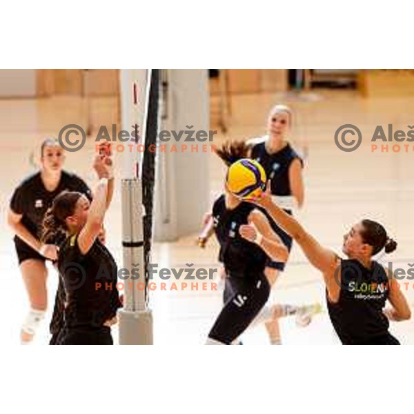 of Slovenia Women\'s National Volleyball team during preparation match between Slovenia and Belgium in Ljubljana, Slovenia on August 16, 2025