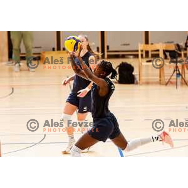 of Slovenia Women\'s National Volleyball team during preparation match between Slovenia and Belgium in Ljubljana, Slovenia on August 16, 2025