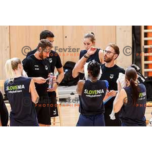 Alessandro Orefice, head coach of Slovenia Women\'s National Volleyball team during preparation match between Slovenia and Belgium in Ljubljana, Slovenia on August 16, 2025