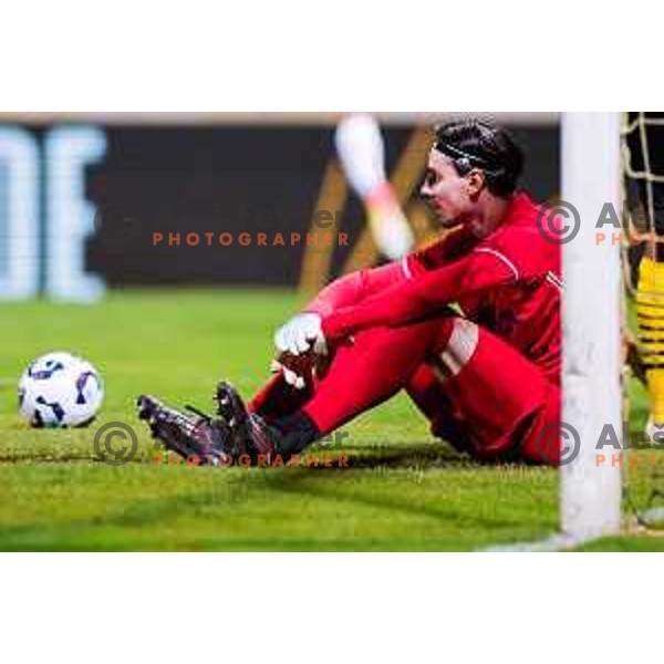 Samo Pridgar during Prva liga Telemach 2025/2026 football match between Kalcer Radomlje and Primorje in Domzale, Slovenia on August 15, 2025