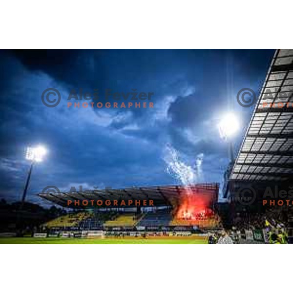 Celjski grofje during UEFA Conference League 2025/26 play-off football match between NK Celje (SLO) and FC Banik Ostrava (CZE) in Stadion z’dezele, Celje, Slovenia on August 21, 2025. Photo: Jure Banfi