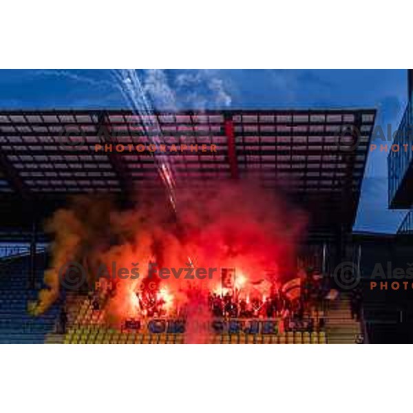Celjski grofje during UEFA Conference League 2025/26 play-off football match between NK Celje (SLO) and FC Banik Ostrava (CZE) in Stadion z’dezele, Celje, Slovenia on August 21, 2025. Photo: Jure Banfi