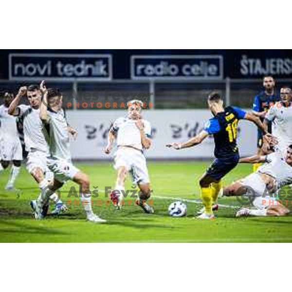 in action during UEFA Conference League 2025/26 play-off football match between NK Celje (SLO) and FC Banik Ostrava (CZE) in Stadion z’dezele, Celje, Slovenia on August 21, 2025. Photo: Jure Banfi