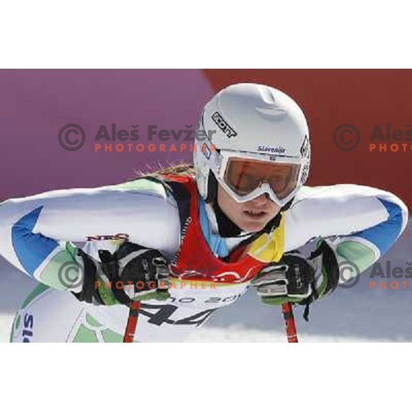 Ana Drev (SLO) at 2006 Torino Winter Olympic games Super G women\'s race in San Sicario on February 20, 2006