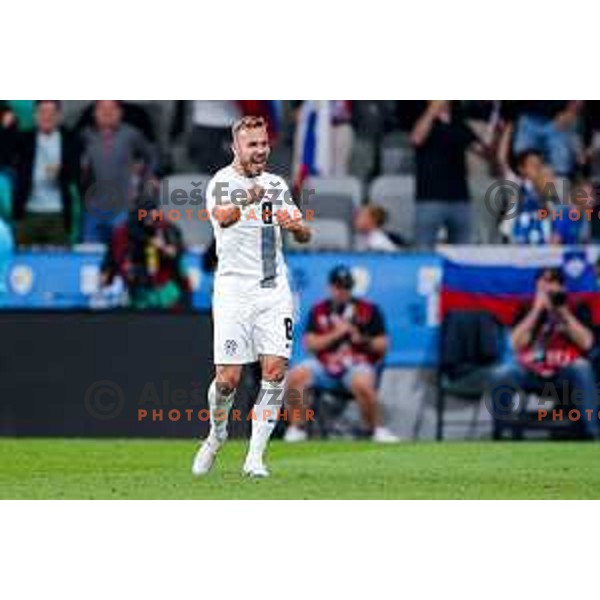Sandi Lovric celebrates a goal during FIFA World Cup 2026 Qualifying round match between Slovenia and Sweden at Stadium Stozice, Ljubljana, Slovenia on September 5, 2025