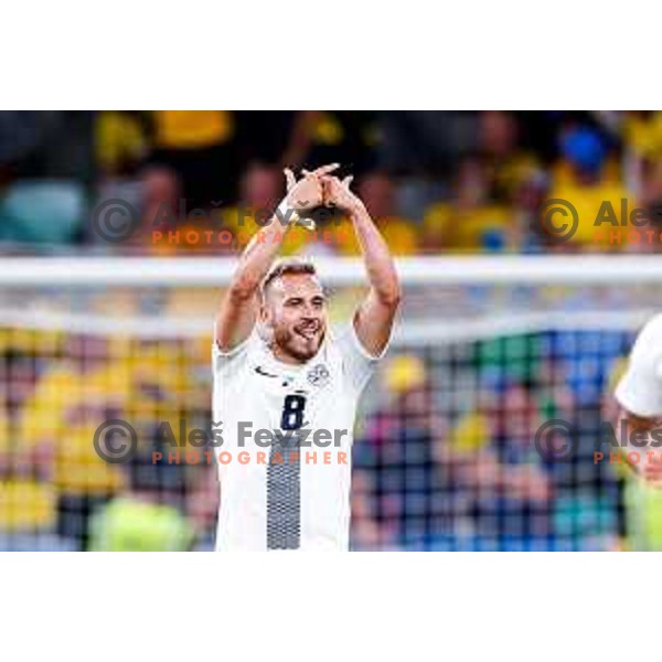 Sandi Lovric celebrates a goal during FIFA World Cup 2026 Qualifying round match between Slovenia and Sweden at Stadium Stozice, Ljubljana, Slovenia on September 5, 2025
