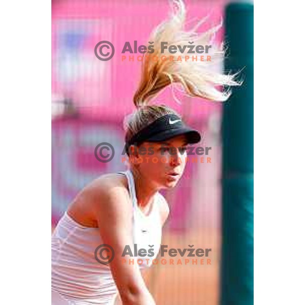 Nika Radisic competes at Zavarovalnica Sava, WTA 125, Ljubljana, Slovenia on September 9, 2025