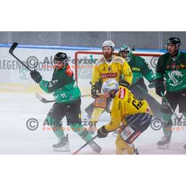 of SZ Olimpija in action during IceHL 2025/2026 ice-hockey match between SZ Olimpija and Vienna Capitals in Tivoli Hall, Ljubljana, Slovenia on September 12, 2025