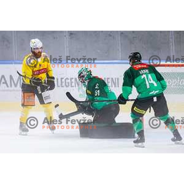 of SZ Olimpija in action during IceHL 2025/2026 ice-hockey match between SZ Olimpija and Vienna Capitals in Tivoli Hall, Ljubljana, Slovenia on September 12, 2025