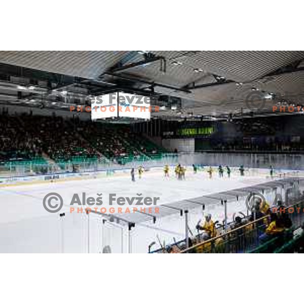 of SZ Olimpija in action during IceHL 2025/2026 ice-hockey match between SZ Olimpija and Vienna Capitals in Tivoli Hall, Ljubljana, Slovenia on September 12, 2025