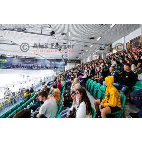 of SZ Olimpija in action during IceHL 2025/2026 ice-hockey match between SZ Olimpija and Vienna Capitals in Tivoli Hall, Ljubljana, Slovenia on September 12, 2025