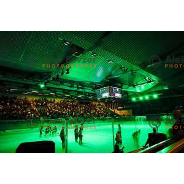 of SZ Olimpija in action during IceHL 2025/2026 ice-hockey match between SZ Olimpija and Vienna Capitals in Tivoli Hall, Ljubljana, Slovenia on September 12, 2025