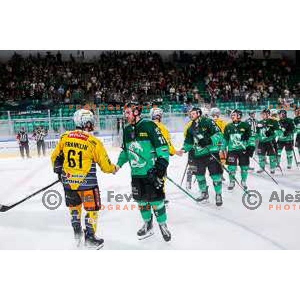 of SZ Olimpija in action during IceHL 2025/2026 ice-hockey match between SZ Olimpija and Vienna Capitals in Tivoli Hall, Ljubljana, Slovenia on September 12, 2025