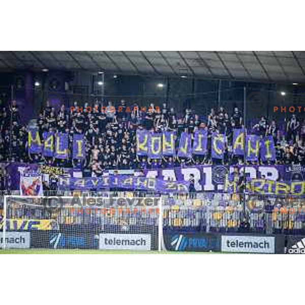 Viole during Prva liga Telemach 2025/26 football match between NK Maribor and NK Mura in Ljudski vrt, Maribor, Slovenia on September 13, 2025. Photo: Jure Banfi