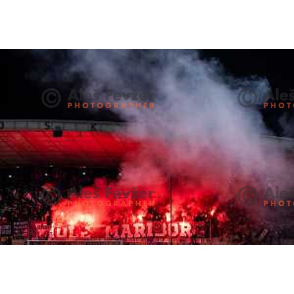 Viole during Prva liga Telemach 2025/26 football match between NK Maribor and NK Mura in Ljudski vrt, Maribor, Slovenia on September 13, 2025. Photo: Jure Banfi