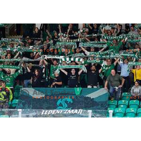 of SZ Olimpija in action during IceHL 2025/2026 ice-hockey match between SZ Olimpija and Vienna Capitals in Tivoli Hall, Ljubljana, Slovenia on September 12, 2025