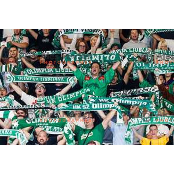 of SZ Olimpija in action during IceHL 2025/2026 ice-hockey match between SZ Olimpija and Vienna Capitals in Tivoli Hall, Ljubljana, Slovenia on September 12, 2025