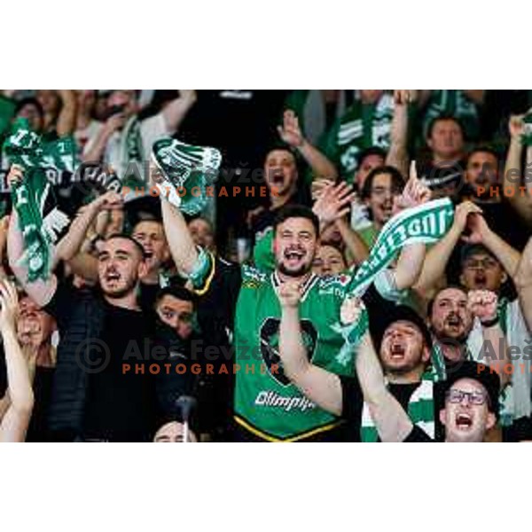 of SZ Olimpija in action during IceHL 2025/2026 ice-hockey match between SZ Olimpija and Vienna Capitals in Tivoli Hall, Ljubljana, Slovenia on September 12, 2025