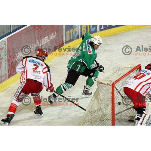 Banham at ice hockey match Tilia Olimpija- KAC in EBEL league, played in Hala Tivoli, Ljubljana, Slovenia 31.10.2008 