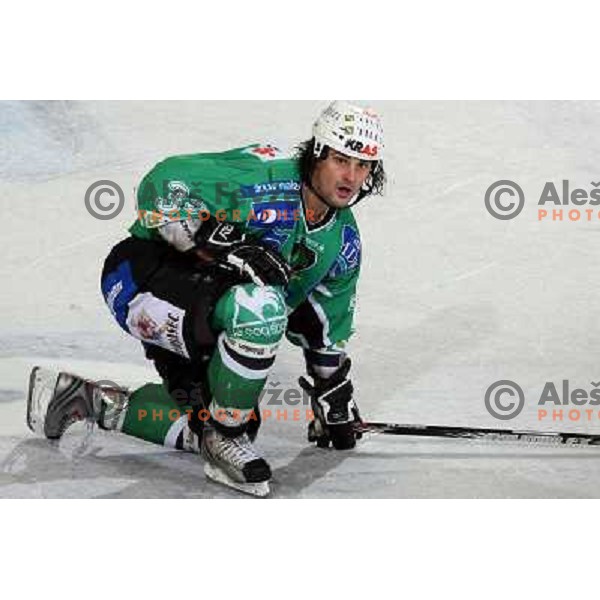 Frank Banham at ice hockey match Tilia Olimpija- KAC in EBEL league, played in Hala Tivoli, Ljubljana, Slovenia 31.10.2008 