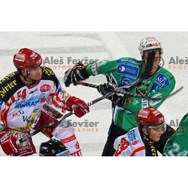 Schneider and Pance at ice hockey match Tilia Olimpija- KAC in EBEL league, played in Hala Tivoli, Ljubljana, Slovenia 31.10.2008 