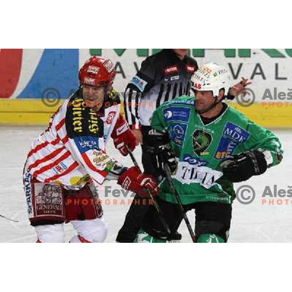 Elik at ice hockey match Tilia Olimpija- KAC in EBEL league, played in Hala Tivoli, Ljubljana, Slovenia 31.10.2008 