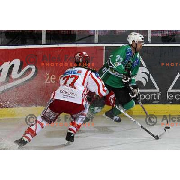 Kuznik at ice hockey match Tilia Olimpija- KAC in EBEL league, played in Hala Tivoli, Ljubljana, Slovenia 31.10.2008 