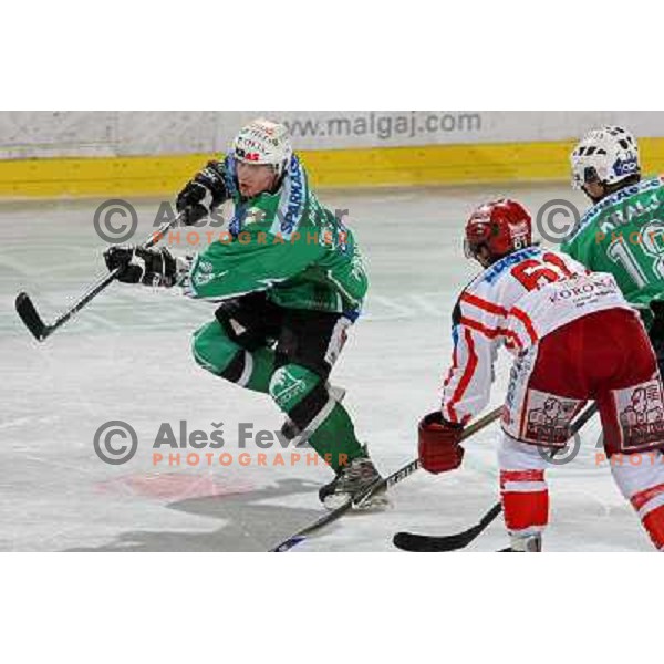Music at ice hockey match Tilia Olimpija- KAC in EBEL league, played in Hala Tivoli, Ljubljana, Slovenia 31.10.2008 