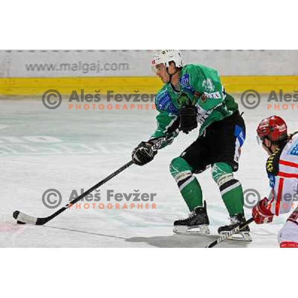 Ziga Pavlin at ice hockey match Tilia Olimpija- KAC in EBEL league, played in Hala Tivoli, Ljubljana, Slovenia 31.10.2008 
