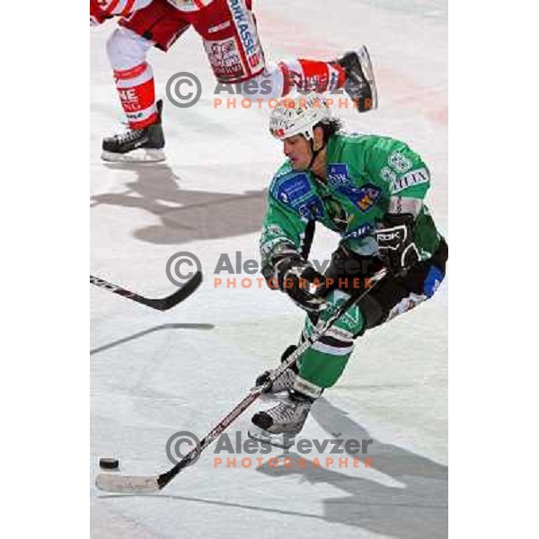 Frank Banham at ice hockey match Tilia Olimpija- KAC in EBEL league, played in Hala Tivoli, Ljubljana, Slovenia 31.10.2008 
