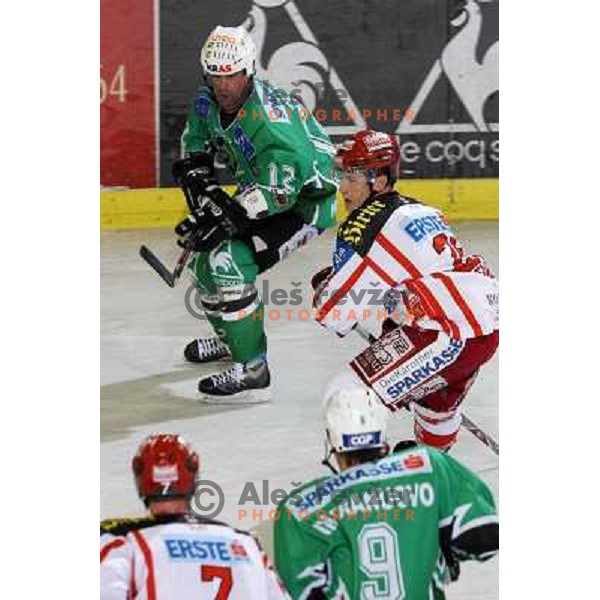 Elik at ice hockey match Tilia Olimpija- KAC in EBEL league, played in Hala Tivoli, Ljubljana, Slovenia 31.10.2008 