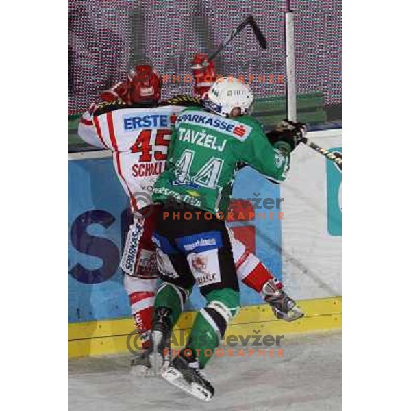 Schuller and Tavzelj at ice hockey match Tilia Olimpija- KAC in EBEL league, played in Hala Tivoli, Ljubljana, Slovenia 31.10.2008 