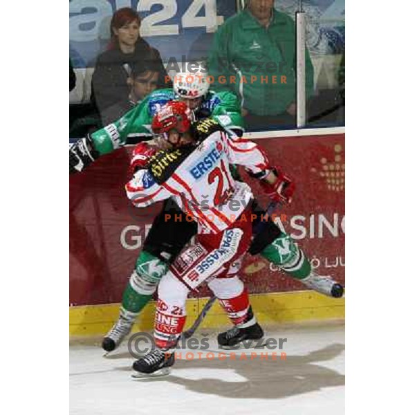 Tavzelj at ice hockey match Tilia Olimpija- KAC in EBEL league, played in Hala Tivoli, Ljubljana, Slovenia 31.10.2008 