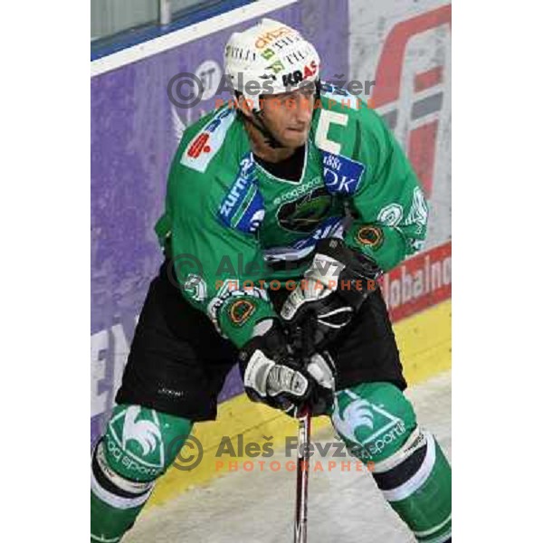 Tomaz Vnuk at ice hockey match Tilia Olimpija- KAC in EBEL league, played in Hala Tivoli, Ljubljana, Slovenia 31.10.2008 