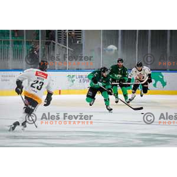 Nathanael Halbert of HK SZ Olimpija Ljubljana in action during IceHL 2025/2026 ice-hockey match between SZ Olimpija and Pioneers Vorarlberg in Tivoli Hall, Ljubljana, Slovenia on September 21, 2025