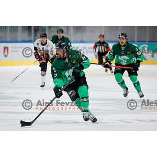 in action during IceHL 2025/2026 ice-hockey match between SZ Olimpija and Pioneers Vorarlberg in Tivoli Hall, Ljubljana, Slovenia on September 21, 2025