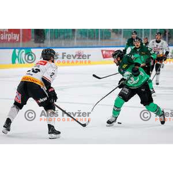 in action during IceHL 2025/2026 ice-hockey match between SZ Olimpija and Pioneers Vorarlberg in Tivoli Hall, Ljubljana, Slovenia on September 21, 2025