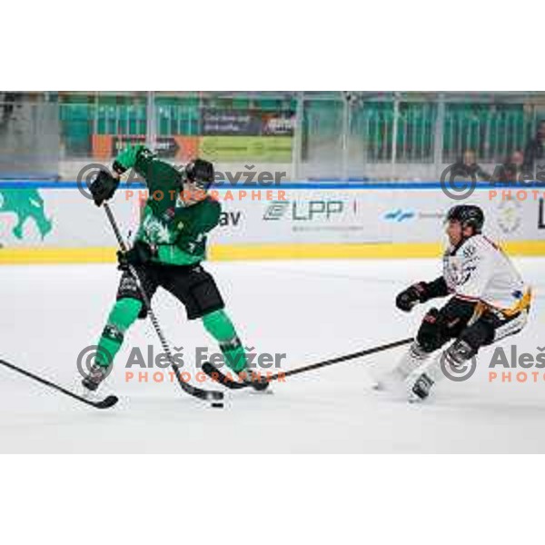 in action during IceHL 2025/2026 ice-hockey match between SZ Olimpija and Pioneers Vorarlberg in Tivoli Hall, Ljubljana, Slovenia on September 21, 2025