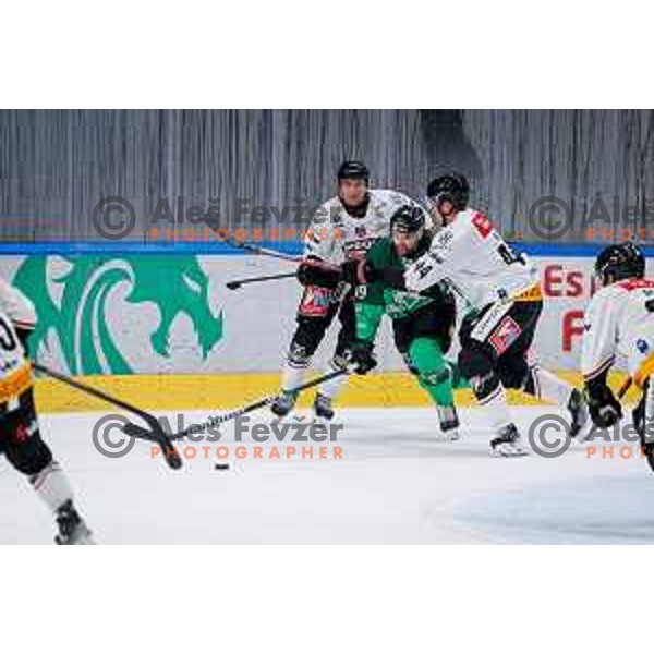 in action during IceHL 2025/2026 ice-hockey match between SZ Olimpija and Pioneers Vorarlberg in Tivoli Hall, Ljubljana, Slovenia on September 21, 2025