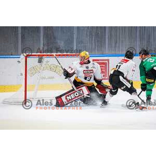 in action during IceHL 2025/2026 ice-hockey match between SZ Olimpija and Pioneers Vorarlberg in Tivoli Hall, Ljubljana, Slovenia on September 21, 2025