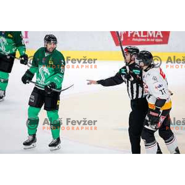 in action during IceHL 2025/2026 ice-hockey match between SZ Olimpija and Pioneers Vorarlberg in Tivoli Hall, Ljubljana, Slovenia on September 21, 2025