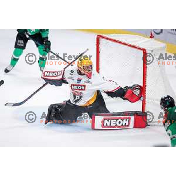 in action during IceHL 2025/2026 ice-hockey match between SZ Olimpija and Pioneers Vorarlberg in Tivoli Hall, Ljubljana, Slovenia on September 21, 2025
