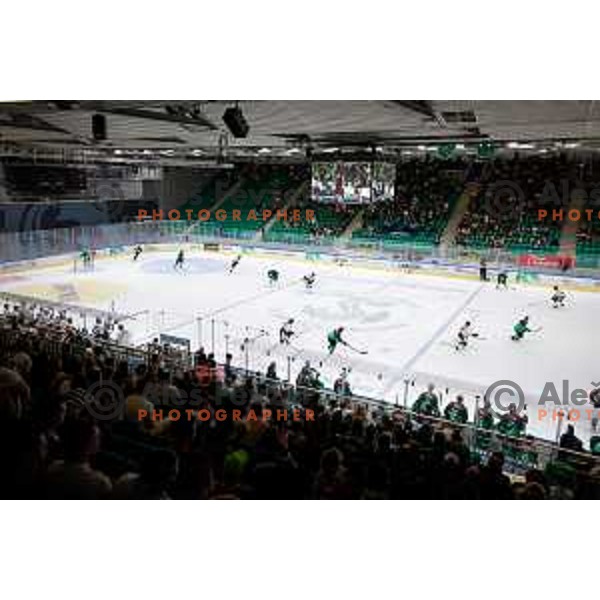 in action during IceHL 2025/2026 ice-hockey match between SZ Olimpija and Pioneers Vorarlberg in Tivoli Hall, Ljubljana, Slovenia on September 21, 2025