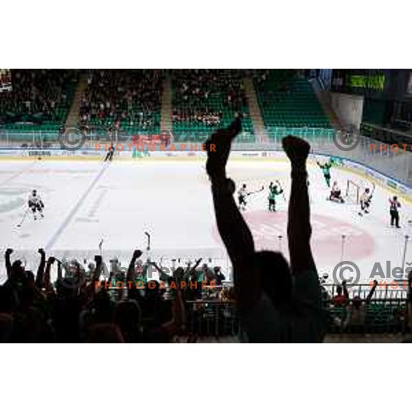 in action during IceHL 2025/2026 ice-hockey match between SZ Olimpija and Pioneers Vorarlberg in Tivoli Hall, Ljubljana, Slovenia on September 21, 2025