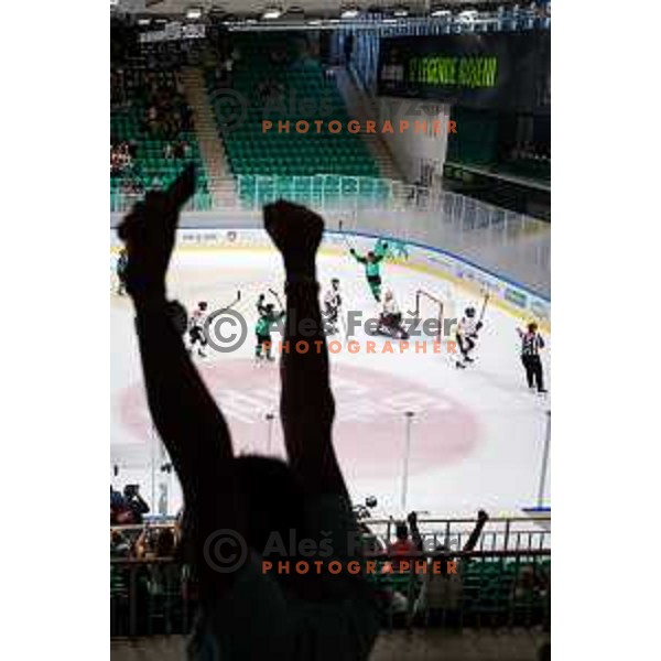 in action during IceHL 2025/2026 ice-hockey match between SZ Olimpija and Pioneers Vorarlberg in Tivoli Hall, Ljubljana, Slovenia on September 21, 2025