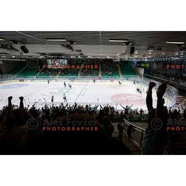 in action during IceHL 2025/2026 ice-hockey match between SZ Olimpija and Pioneers Vorarlberg in Tivoli Hall, Ljubljana, Slovenia on September 21, 2025