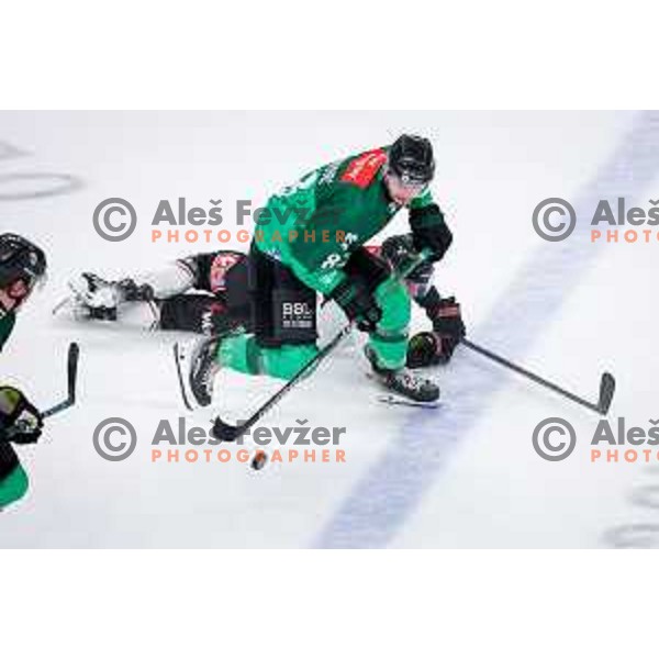 in action during IceHL 2025/2026 ice-hockey match between SZ Olimpija and Pioneers Vorarlberg in Tivoli Hall, Ljubljana, Slovenia on September 21, 2025