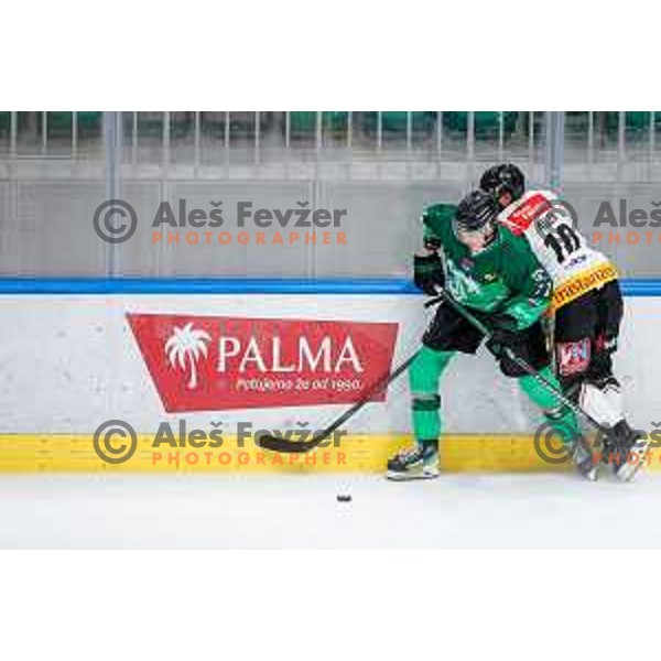 in action during IceHL 2025/2026 ice-hockey match between SZ Olimpija and Pioneers Vorarlberg in Tivoli Hall, Ljubljana, Slovenia on September 21, 2025